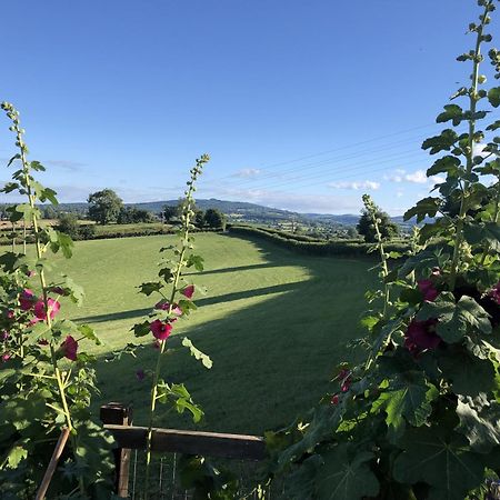 Betula Views Studio Newent ภายนอก รูปภาพ