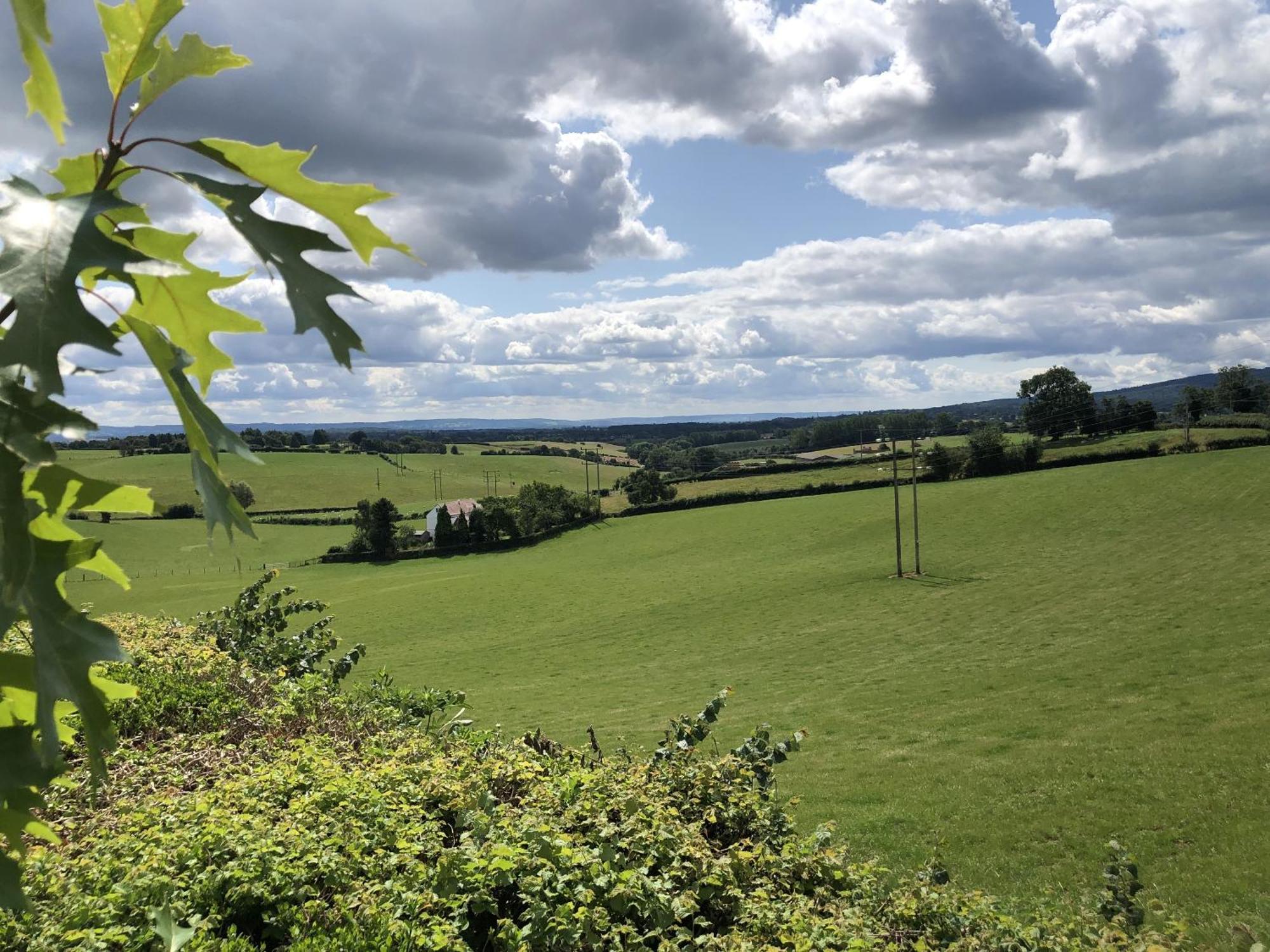 Betula Views Studio Newent ภายนอก รูปภาพ
