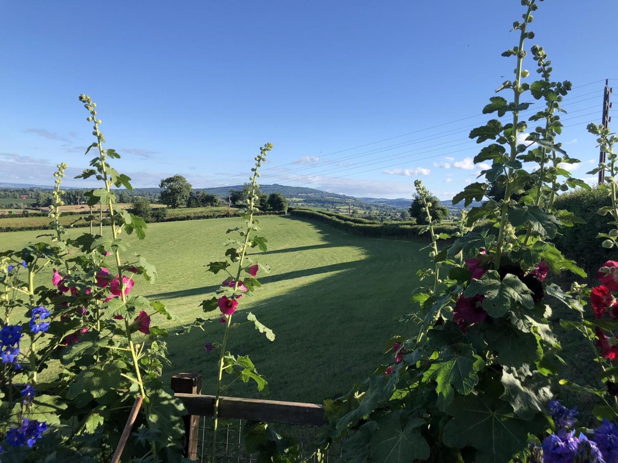 Betula Views Studio Newent ภายนอก รูปภาพ