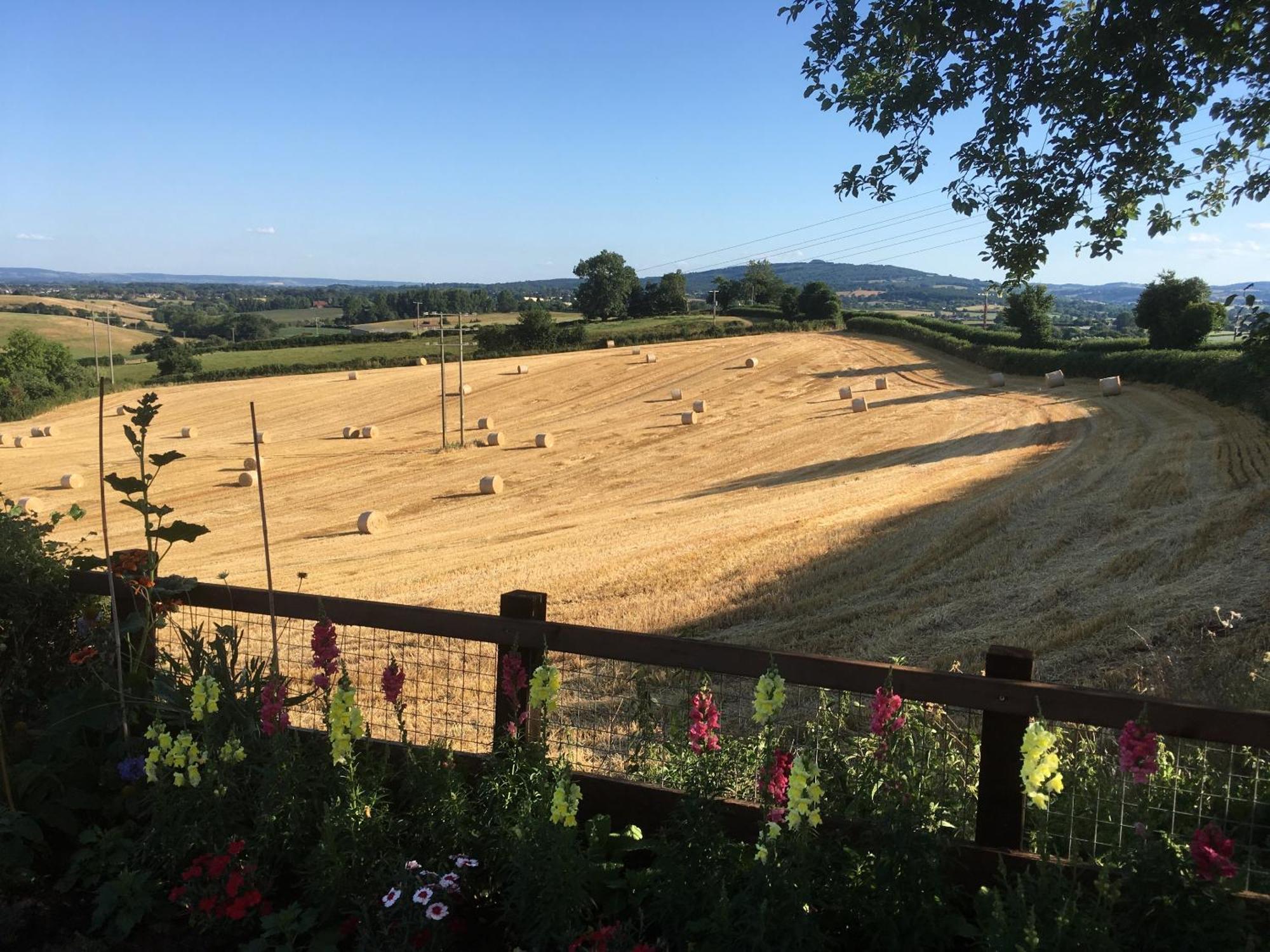 Betula Views Studio Newent ภายนอก รูปภาพ