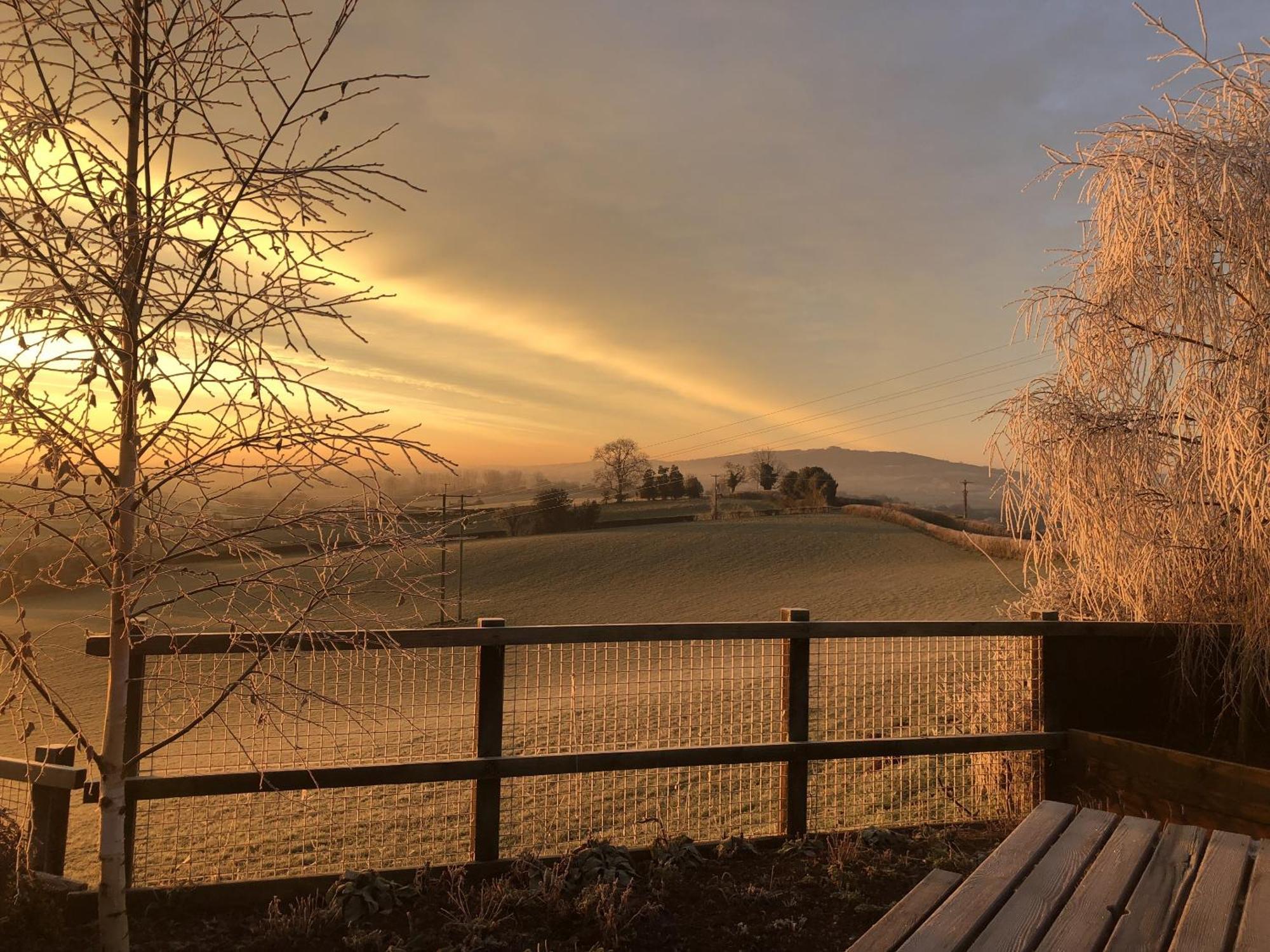 Betula Views Studio Newent ภายนอก รูปภาพ