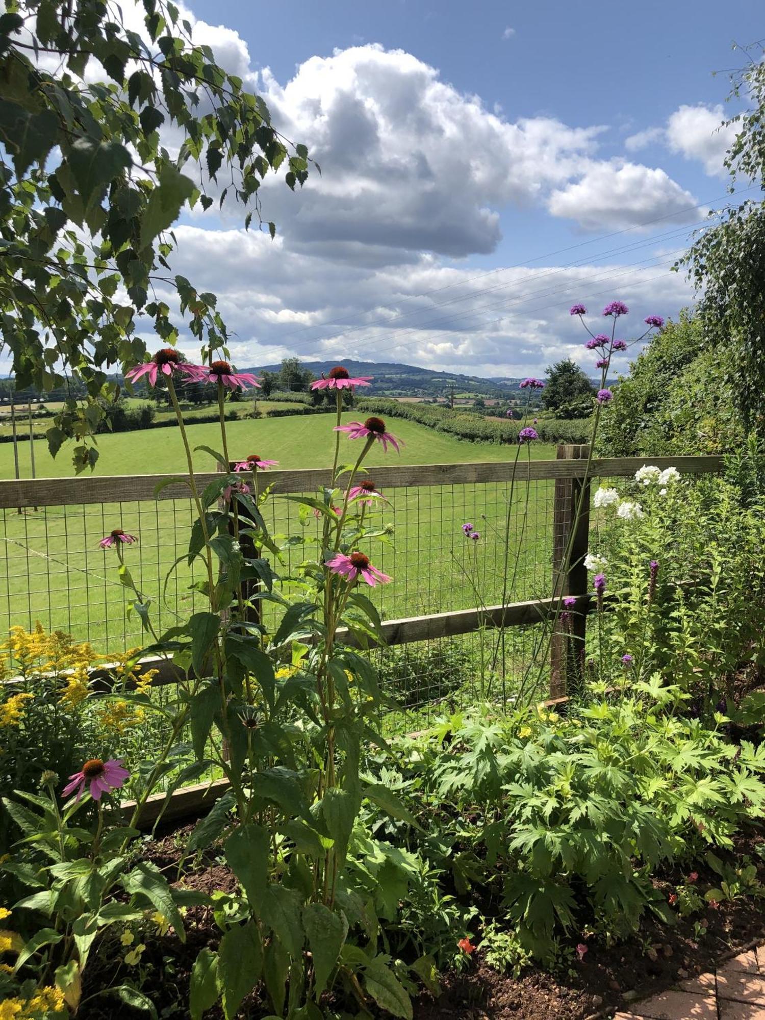 Betula Views Studio Newent ภายนอก รูปภาพ