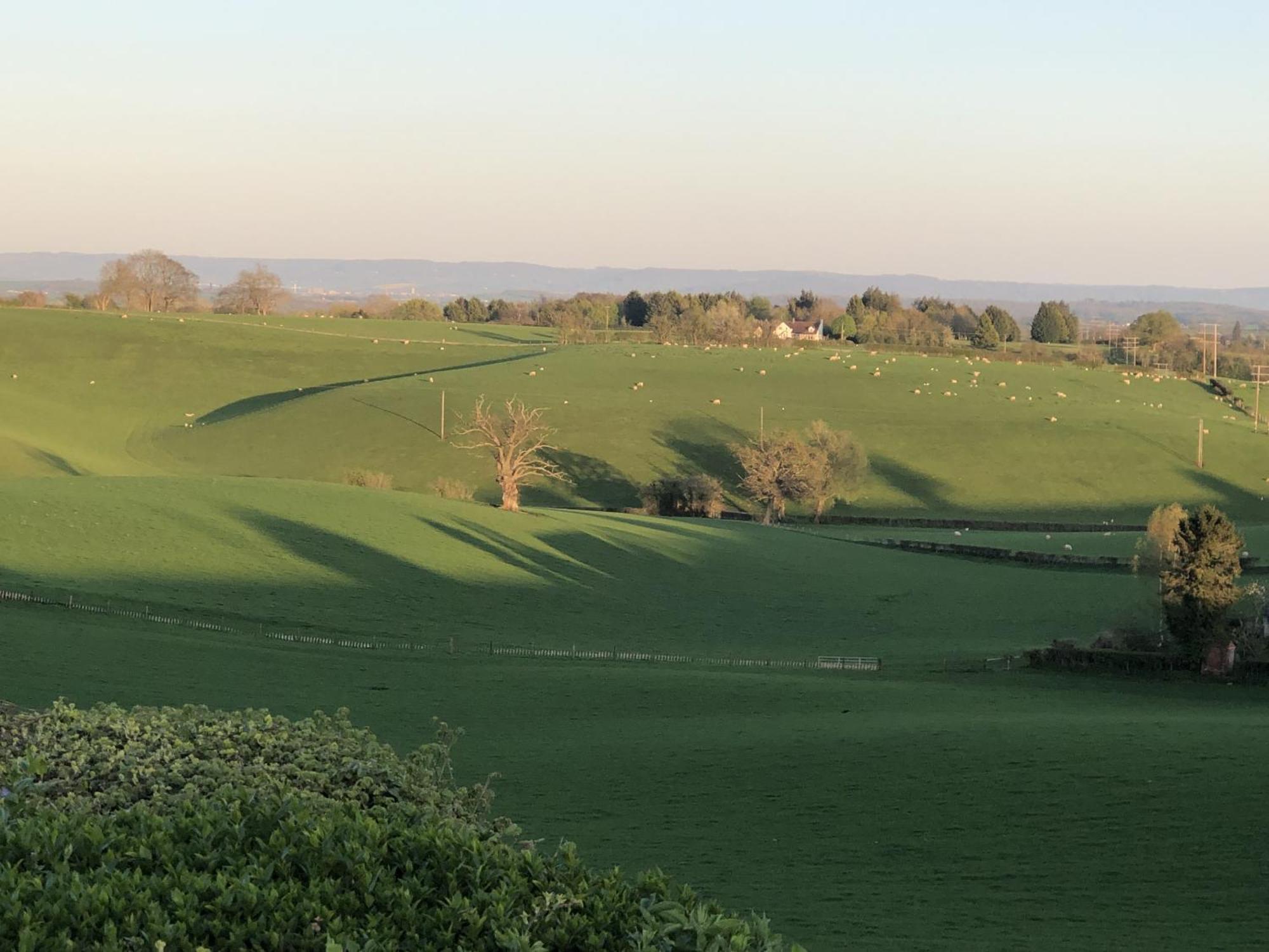 Betula Views Studio Newent ภายนอก รูปภาพ