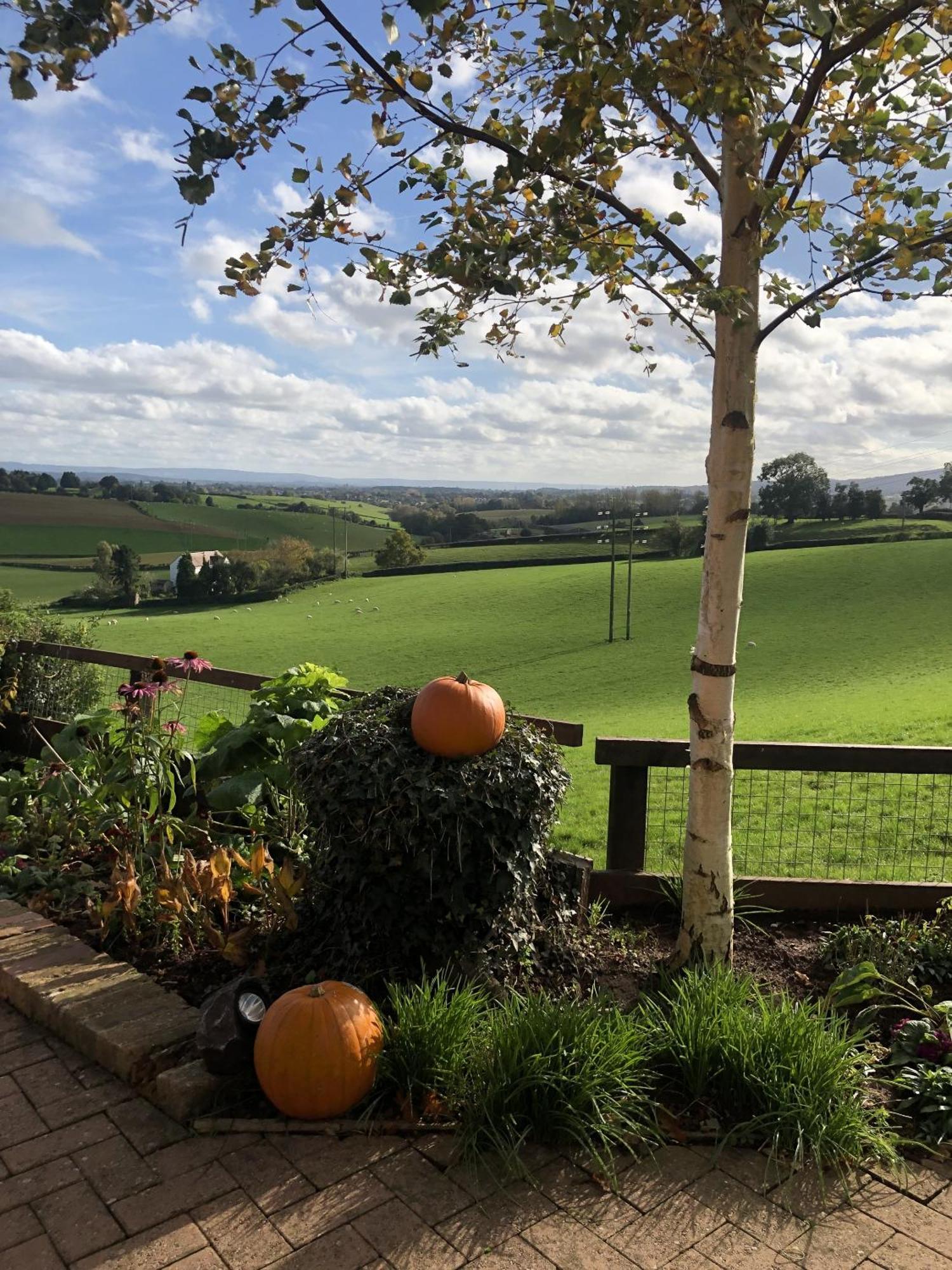 Betula Views Studio Newent ภายนอก รูปภาพ